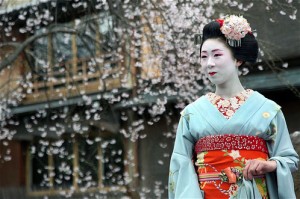 geisha hanami