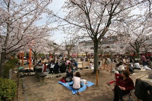 kyoto printemps 26