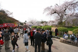 kyoto printemps 27