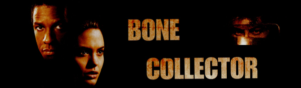 Angelina Jolie banner Angie's Rainbow Bone Collector