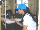UNHCR - Sri Lanka